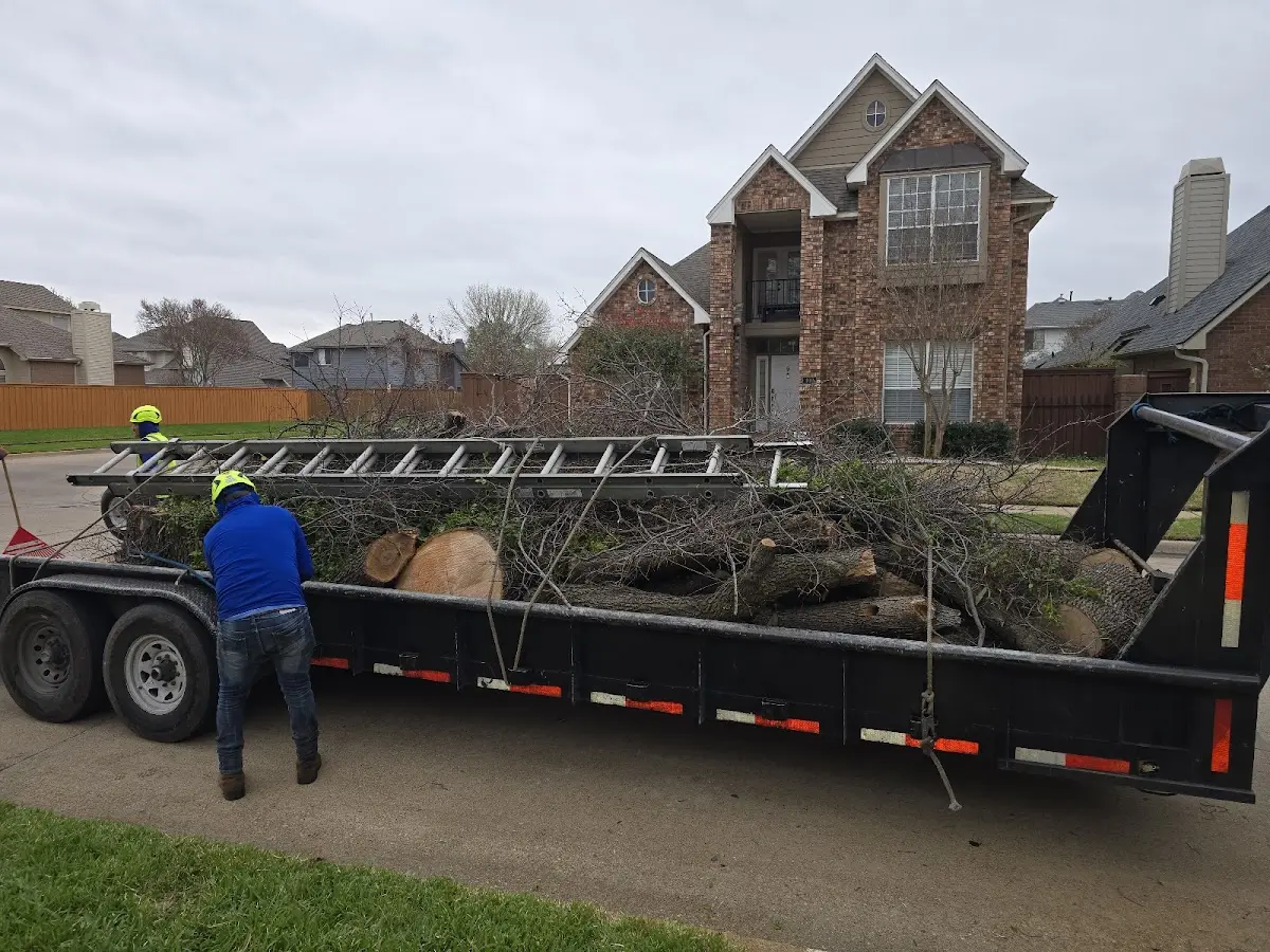 Expert Crown Reduction with proper safety equipment in Arlington Heights